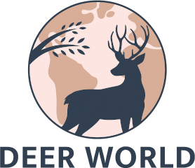 Logo Deer World